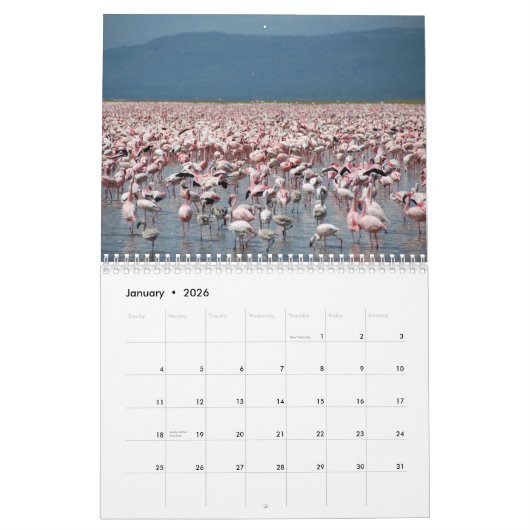Flamingo-Kalender Kalender (Jan 2026)