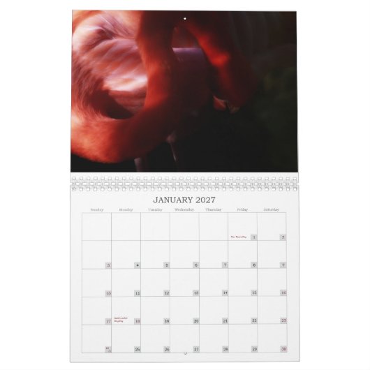 Flamingo-Kalender Kalender (Jan 2027)