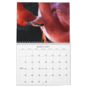Flamingo-Kalender Kalender (Mär 2027)