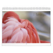 Flamingo-Kalender Kalender (Titelbild)
