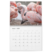 Flamingo-Kalender Kalender (Mär 2027)