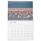 Flamingo-Kalender Kalender (Jan 2027)