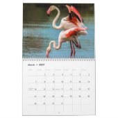Flamingo-Kalender Kalender (Mär 2027)