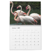 Flamingo-Kalender Kalender (Jan 2027)