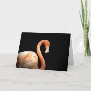 Flamingo Karte