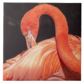 Flamingo Keramik Tile Fliese (Vorderseite)