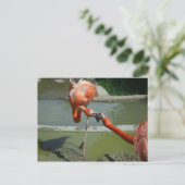 Flamingo Kiss Postkarte (Stehend Vorderseite)
