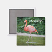 Flamingo Kühlschrank Magnet (Vorderseite/Rückseite)