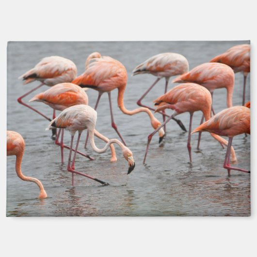 Flamingo-Kühlschrankmagnet Magnet (Vorderseite)