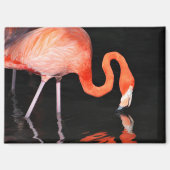 Flamingo-Kühlschrankmagnet Magnet (Vorderseite)