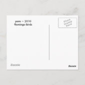 Flamingo Lake Postkarte (Rückseite)