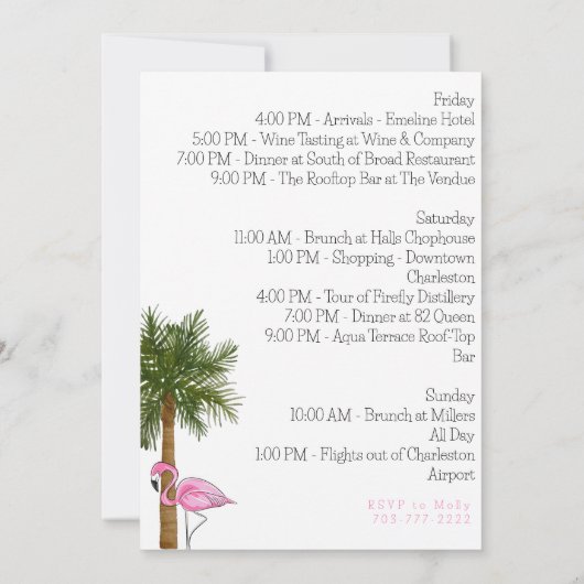 Flamingo Let's Flamingle Bachelorette Tour Einladung (Rückseite)