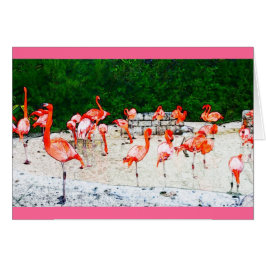 Flamingo-Liebe