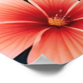 Flamingo Liebe Tropical Art Poster (Ecke)