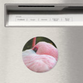 Flamingo Magnet (In Situ (Geschirrspüler))
