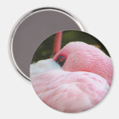 Flamingo Magnet (Vorderseite/Rückseite)