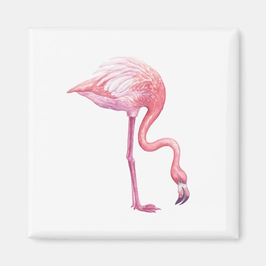 Flamingo Magnet (Vorne)