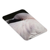 Flamingo Magnet (Rechte Seite)