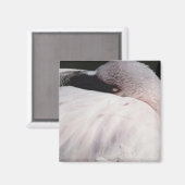 Flamingo Magnet (Vorderseite/Rückseite)