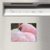 Flamingo Magnet (In Situ (Geschirrspüler))