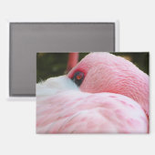 Flamingo Magnet (Vorderseite/Rückseite)