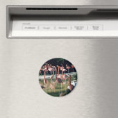 Flamingo Magnet (In Situ (Geschirrspüler))