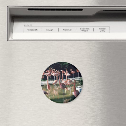 Flamingo Magnet (In Situ (Geschirrspüler))