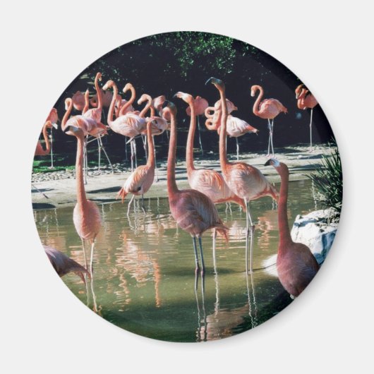 Flamingo Magnet (Vorne)