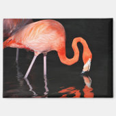 Flamingo Magnet (Vorderseite)
