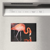 Flamingo Magnet (In Situ (Geschirrspüler))