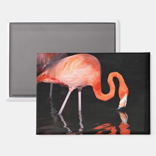 Flamingo Magnet (Vorderseite/Rückseite)