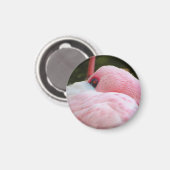 Flamingo Magnet (Vorderseite/Rückseite)