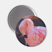 Flamingo Magnet (Vorderseite/Rückseite)