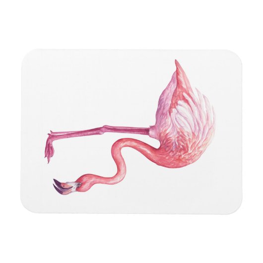 Flamingo Magnet (Horizontal)