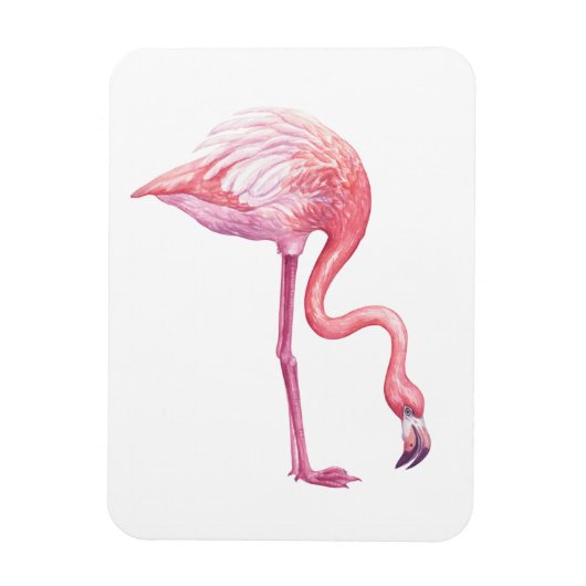 Flamingo Magnet (Vertikal)