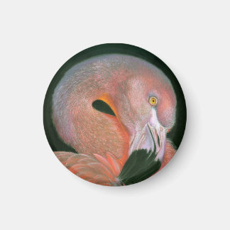 Flamingo  magnet
