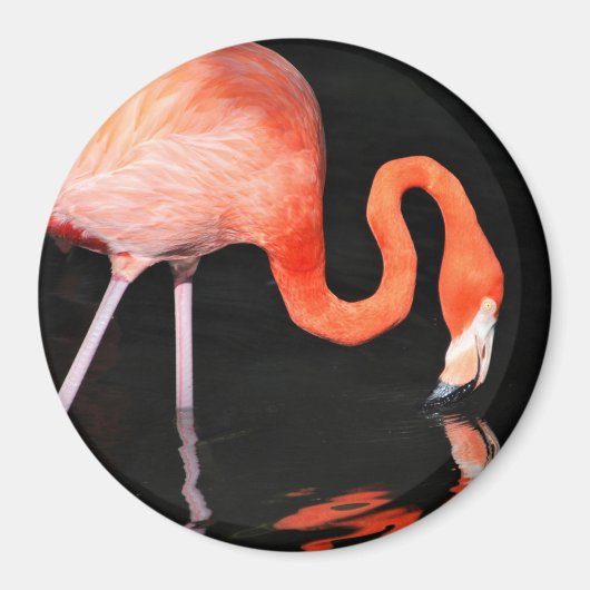 Flamingo Magnet (Vorne)