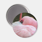 Flamingo Magnet (Vorderseite/Rückseite)