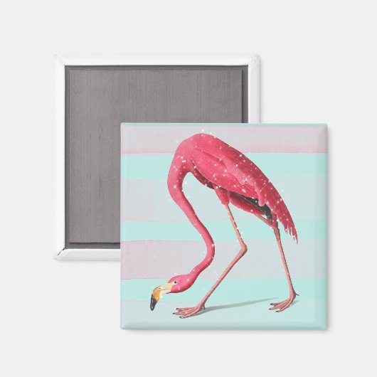 Flamingo Magnet (Vorderseite/Rückseite)