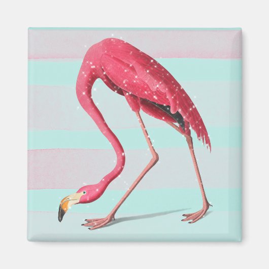 Flamingo Magnet (Vorne)