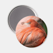 Flamingo‑Magnet Magnet (Vorderseite/Rückseite)