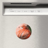 Flamingo‑Magnet Magnet (In Situ (Geschirrspüler))