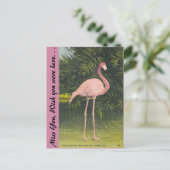 Flamingo, Miami, Florida Postkarte (Stehend Vorderseite)