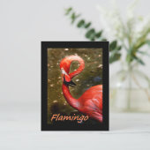 Flamingo mit "flamingo" rosa Text Postkarte (Stehend Vorderseite)