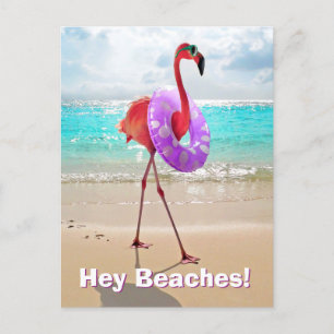 Flamingo mit innerer Tube Einladungspostkarte