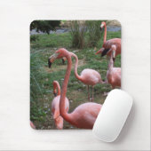 Flamingo Mousepad (Mit Mouse)