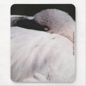 Flamingo Mousepad (Vorne)
