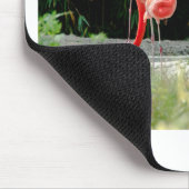 Flamingo Mousepad (Ecke)