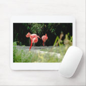 Flamingo Mousepad (Mit Mouse)