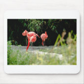 Flamingo Mousepad (Vorne)